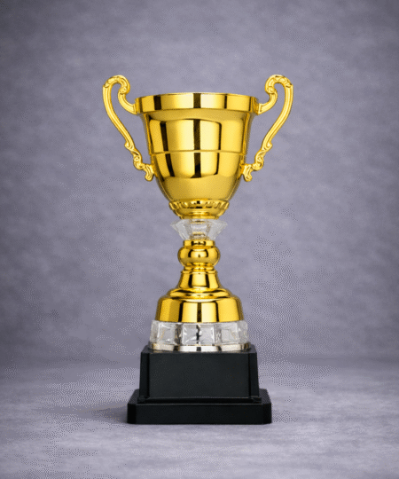 Fotballpokal – Sjusjøen